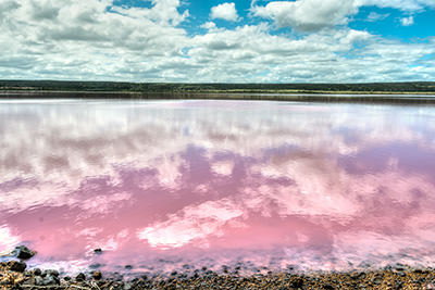 17 Awe-inspiring Pink Lakes Around the World You Need to See