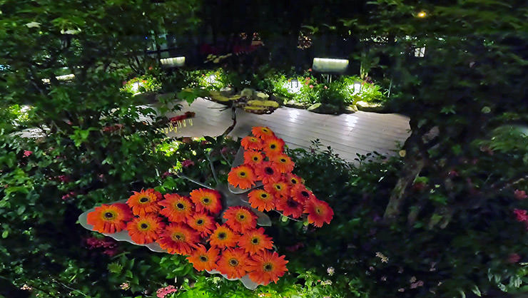 Flower-adorned feeding station in Butterfly Garden at Singapore Changi Airport, Terminal 3; photo by Ivan Kralj.