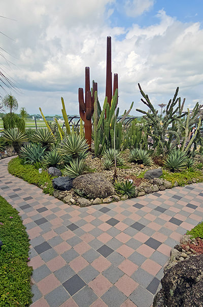 Cactus Garden on the rooftop of Singapore Changi Airport's Terminal 1, with real, but also steel cacti, artwork by Richard Turner and Eric Carroll; photo by Ivan Kralj.