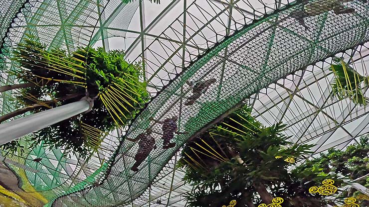 People walking on the Bouncing Net, as seen from below, in the Canopy Park of Jewel Changi Airport in Singapore, photo by Ivan Kralj.