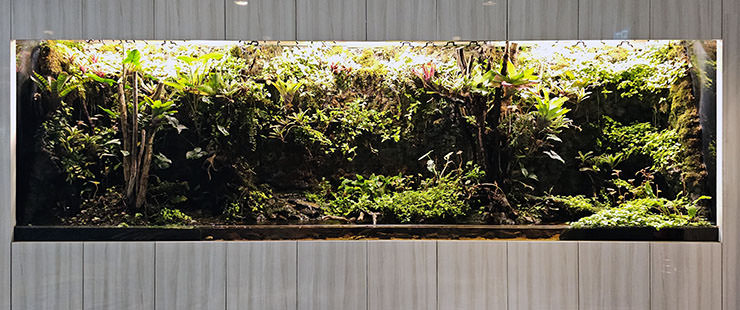 Tropical Rainforest Vivarium / paludarium at Singapore Changi Airport, Terminal 1; photo by Ivan Kralj.