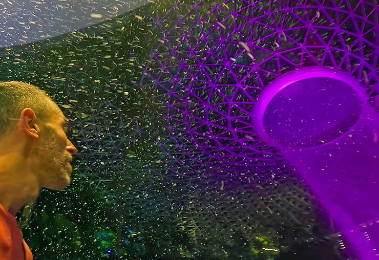 Artificial snow falling in the Shiseido Forest Valley after the Rain Vortex Light & Music Showcase, inside Jewel Changi Airport in Singapore; photo by Ivan Kralj.