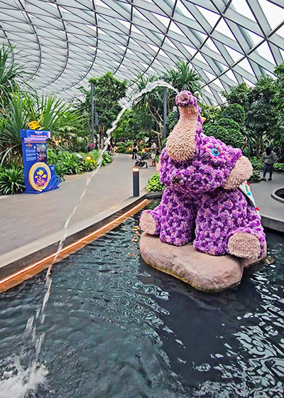 Elephant fountain made of flowers with water spurting out of his trunk, a part of Topiary Walk at Canopy Park, Jewel Changi Airport in Singapore; photo by Ivan Kralj.